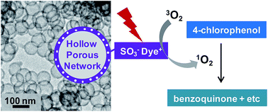 Graphical abstract: Hollow and sulfonated microporous organic polymers: versatile platforms for non-covalent fixation of molecular photocatalysts