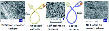 Graphical abstract: Self-assembled capsules of poly-N-glycidyl histidine ether–tannic acid for inhibition of biofilm formation in urinary catheters
