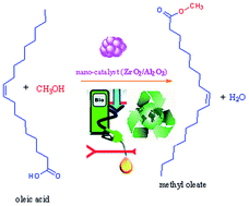 Graphical abstract: Biodiesel synthesis from oleic acid by nano-catalyst (ZrO2/Al2O3) under high voltage conditions