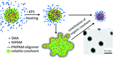Graphical abstract: Amphiphilic quasi-block copolymers and their self-assembled nanoparticles via thermally induced interfacial absorption in miniemulsion polymerization