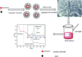 Graphical abstract: A eutectic mixture of choline chloride and urea as an assisting solvent in the synthesis of flower-like hierarchical BiOCl structures with enhanced photocatalytic activity