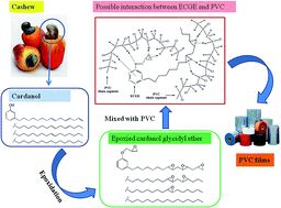 Graphical abstract: A novel biobased plasticizer of epoxidized cardanol glycidyl ether: synthesis and application in soft poly(vinyl chloride) films
