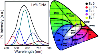 Graphical abstract: Tunable near white light photoluminescence of lanthanide ion (Dy3+, Eu3+ and Tb3+) doped DNA lattices