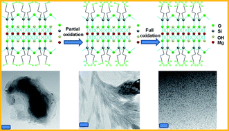 Graphical abstract: Feasibility tests of –SO3H/–SO3−-functionalized magnesium phyllosilicate [–SO3H/–SO3− MP] for environmental and bioenergy applications