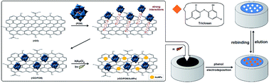 Graphical abstract: Sensitive and selective determination of aqueous triclosan based on gold nanoparticles on polyoxometalate/reduced graphene oxide nanohybrid