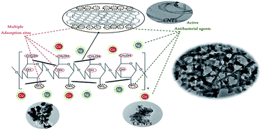 Graphical abstract: Preparation and characterization of chitosan/silver nanoparticle/copper nanoparticle/carbon nanotube multifunctional nano-composite for water treatment: heavy metals removal; kinetics, isotherms and competitive studies