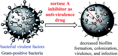 Graphical abstract: Recent progress in the development of sortase A inhibitors as novel anti-bacterial virulence agents