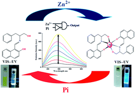 Graphical abstract: A reversible turn-off fluorescence probe (HNAPP) for Zn(ii) ion and inorganic phosphate ions (H2P and HP) at physiological pH