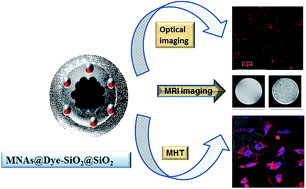 Graphical abstract: Theranostic fluorescent silica encapsulated magnetic nanoassemblies for in vitro MRI imaging and hyperthermia