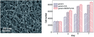 Graphical abstract: Synthesis and bioactivity of gelatin/multiwalled carbon nanotubes/hydroxyapatite nanofibrous scaffolds towards bone tissue engineering