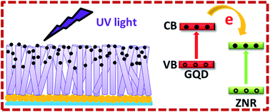 Graphical abstract: Enhanced photocurrent of a ZnO nanorod array sensitized with graphene quantum dots