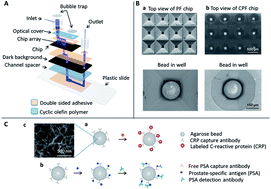 Graphical abstract: Enhancement of performance in porous bead-based microchip sensors: effects of chip geometry on bio-agent capture