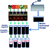 Graphical abstract: Solubilization of waste activated sludge using a garbage enzyme produced from different pre-consumer organic waste