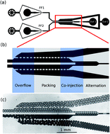 Graphical abstract: Continuous and low error-rate passive synchronization of pre-formed droplets