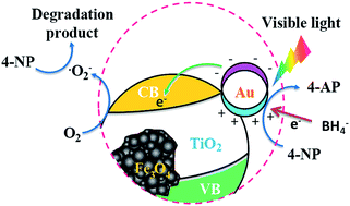 Graphical abstract: Au decorated Fe3O4@TiO2 magnetic composites with visible light-assisted enhanced catalytic reduction of 4-nitrophenol