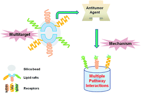 Graphical abstract: Prospects for multitarget lipid-raft-coated silica beads: a remarkable online biomaterial for discovering multitarget antitumor lead compounds