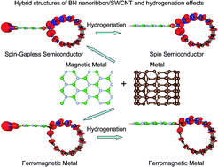 Graphical abstract: Hybrid structures of a BN nanoribbon/single-walled carbon nanotube: ab initio study