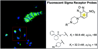 Graphical abstract: 4-Nitro-2,1,3-benzoxadiazole derivatives as potential fluorescent sigma receptor probes