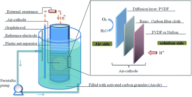 Graphical abstract: PVDF layer as a separator on the solution-side of air-cathodes: the electricity generation, fouling and regeneration