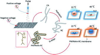Graphical abstract: Temperature-responsive nanofibers for controllable oil/water separation