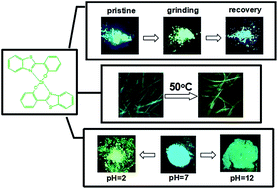 Graphical abstract: Stimuli-responsive fluorescence based on the solid-state bis[2-(2-benzothiazoly)phenolato]zinc(ii) complex and its fiber thin film