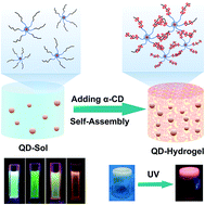 Graphical abstract: Fabrication and properties of a supramolecular hybrid hydrogel doped with CdTe quantum dots