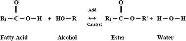 Graphical abstract: A comprehensive review on biodiesel cold flow properties and oxidation stability along with their improvement processes