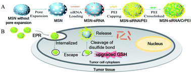 Graphical abstract: Tumor specific delivery with redox-triggered mesoporous silica nanoparticles inducing neovascularization suppression and vascular normalization