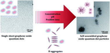 Graphical abstract: Controlling the cooperative self-assembly of graphene oxide quantum dots in aqueous solutions