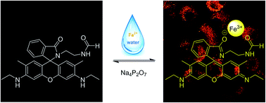 Graphical abstract: A reversible rhodamine 6G-based fluorescence turn-on probe for Fe3+ in water and its application in living cell imaging