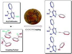 Graphical abstract: C–C/C–N cross-coupling reactions of aryl sulfonates catalyzed by an eco-friendly and reusable heterogeneous catalyst: wool–Pd complex