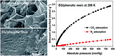 Graphical abstract: Expanded graphite/phenolic resin-based carbon composite adsorbents for post-combustion CO2 capture