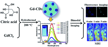 Graphical abstract: One-pot synthesis of gadolinium(iii) doped carbon dots for fluorescence/magnetic resonance bimodal imaging