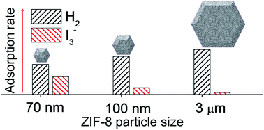 Graphical abstract: Opposite particle size effects on the adsorption kinetics of ZIF-8 for gaseous and solution adsorbates