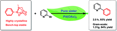 Graphical abstract: Palladium-catalyzed ligand-free and efficient Suzuki–Miyaura reaction of heteroaryl halides with MIDA boronates in water