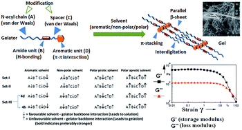 Graphical abstract: A systematic understanding of gelation self-assembly: solvophobically assisted supramolecular gelation via conformational reorientation across amide functionality on a hydrophobically modulated dipeptide based ambidextrous gelator, N-n-acyl-(l)Val-X(OBn), (X = 1,ω-amino acid)