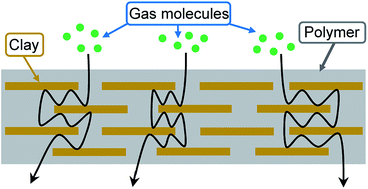 Graphical abstract: Gas barrier properties of polymer/clay nanocomposites