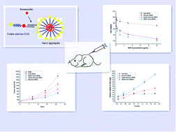 Graphical abstract: Self-organized nanoparticle drug delivery systems from a folate-targeted dextran–doxorubicin conjugate loaded with doxorubicin against multidrug resistance