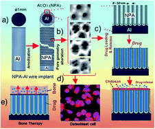 Graphical abstract: Nanoengineered drug-releasing aluminium wire implants: comparative investigation of nanopore geometry, drug release and osteoblast cell adhesion