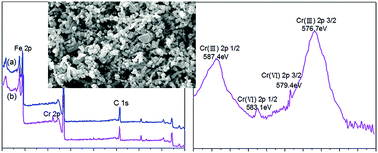 Graphical abstract: Cr(vi) removal by combined redox reactions and adsorption using pectin-stabilized nanoscale zero-valent iron for simulated chromium contaminated water