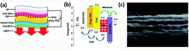 Graphical abstract: Flexible quantum dot light emitting diodes based on ZnO nanoparticles