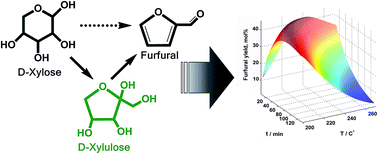 Graphical abstract: The role of xylulose as an intermediate in xylose conversion to furfural: insights via experiments and kinetic modelling