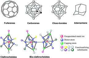 Graphical abstract: Recent advances in biological applications of cage metal complexes