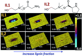 Graphical abstract: Non-corrosive green lubricants: strengthened lignin–[choline][amino acid] ionic liquids interaction via reciprocal hydrogen bonding