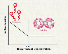 Graphical abstract: A review on natural surfactants