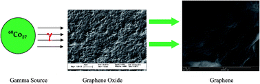 Graphical abstract: Graphene prepared by gamma irradiation for corrosion protection of stainless steel 316 in chloride containing electrolytes