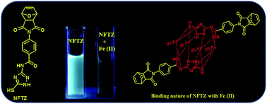 Graphical abstract: Unique norbornene based triazole molecule for selective Fe(ii) sensing