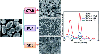 Graphical abstract: Surfactant-mediated morphology and fluorescent properties of amino acids-based lanthanide coordination polymers