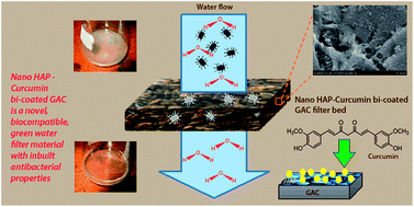 Graphical abstract: Biocompatible nano hydroxyapatite – curcumin bi-coated antibacterial activated carbon for water purification