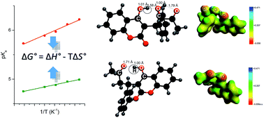 Graphical abstract: Enthalpy–entropy relations in the acid–base equilibrium of warfarin and 10-hydroxywarfarin; joint experimental and theoretical studies